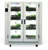 Indoor Gardening