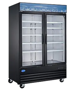 Zanduco 53" 2-Glass Door Merchandiser Freezer Black with 1270L Capacity - 110V, 1000W